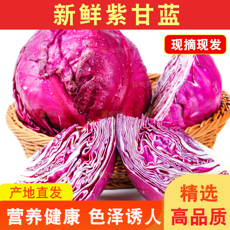 篮子里的紫甘蓝