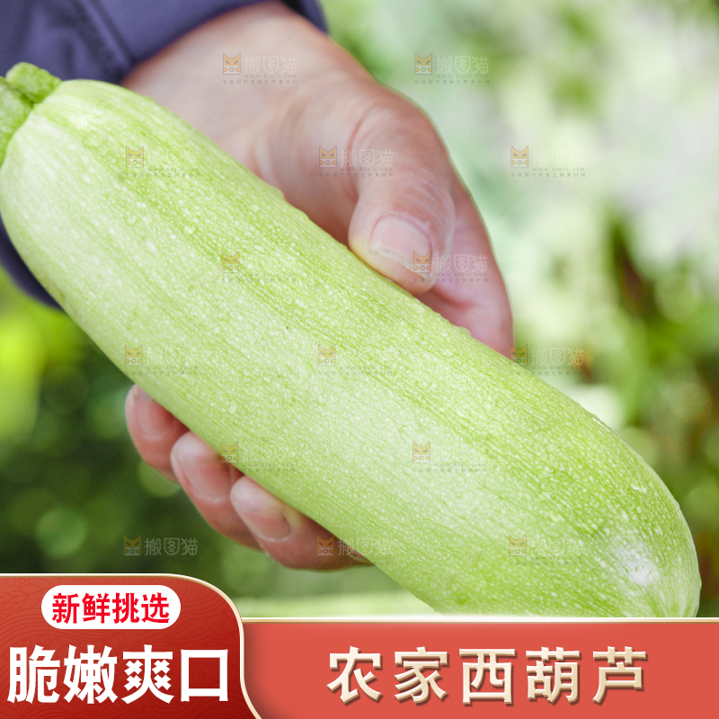 手里拿着西葫芦瓜