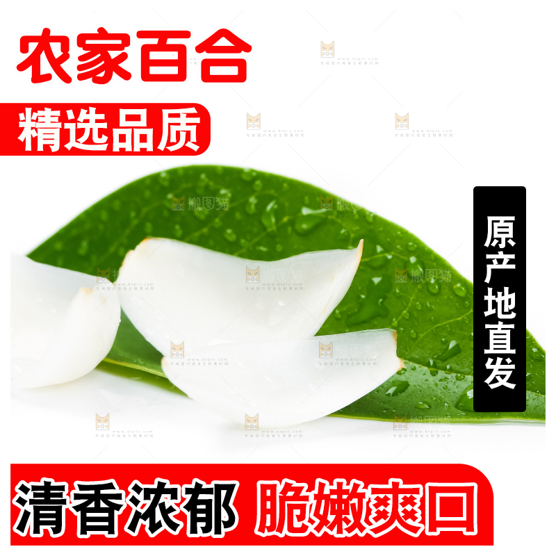 枝叶上摆放着鲜百合