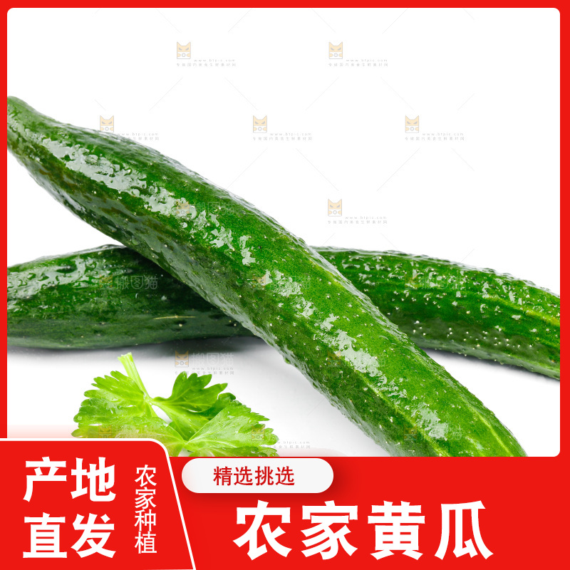 白底上放着黄瓜