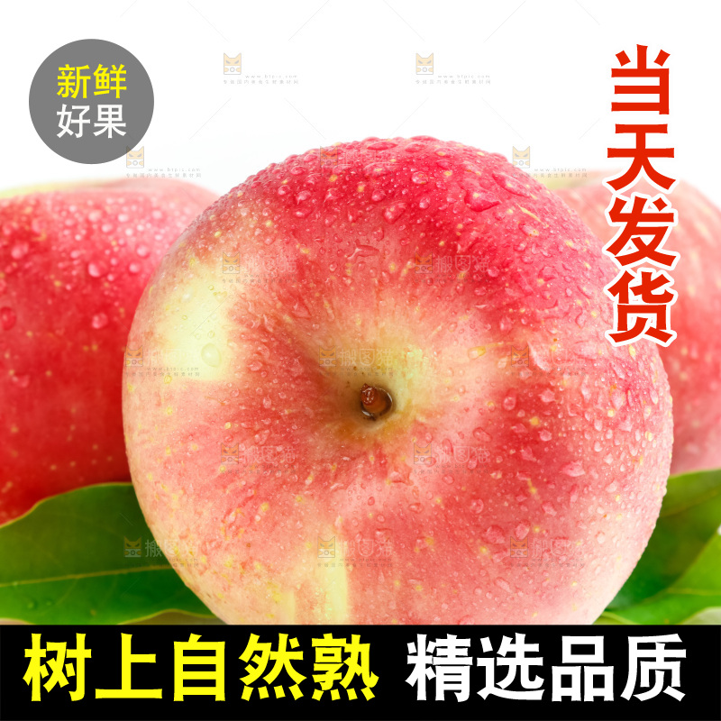 白底上的红苹果
