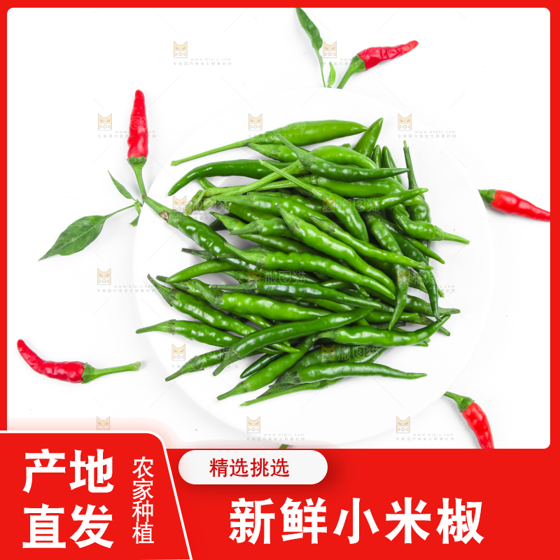 白底上的小米椒