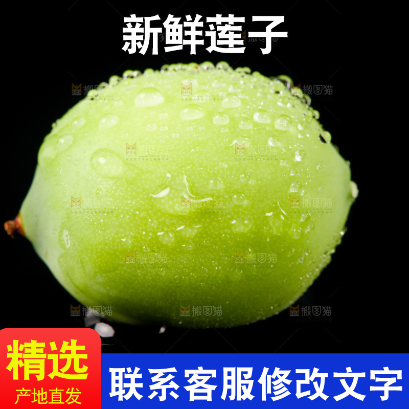 黑底上放着新鲜莲子