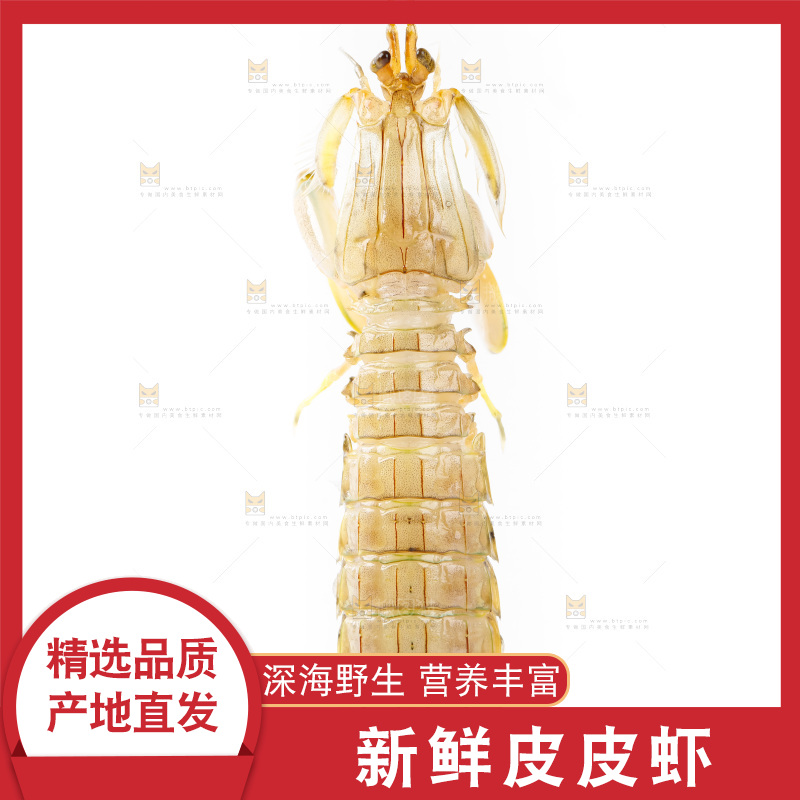 手里拿着生鲜皮皮虾