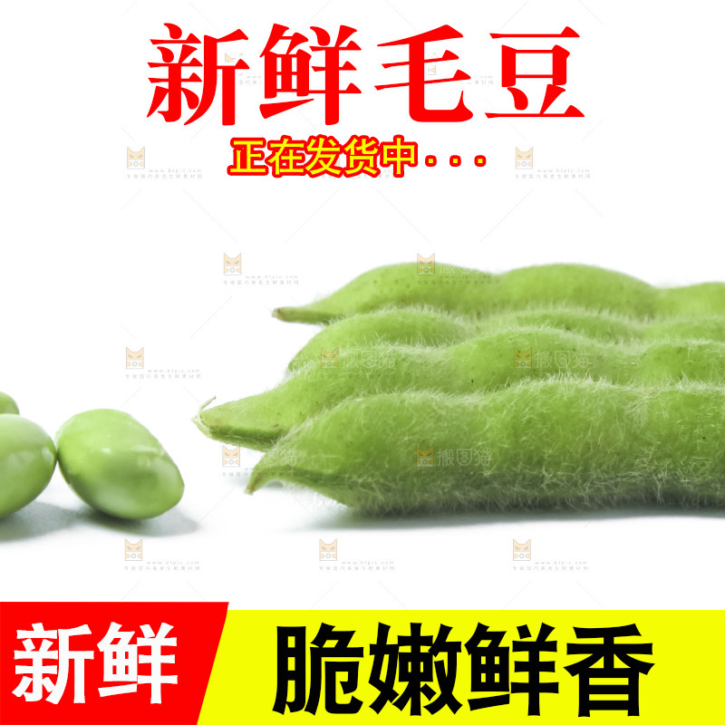 白底上的毛豆