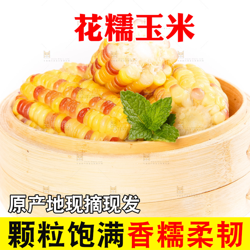 竹笼里放着剥皮的广西花糯玉米