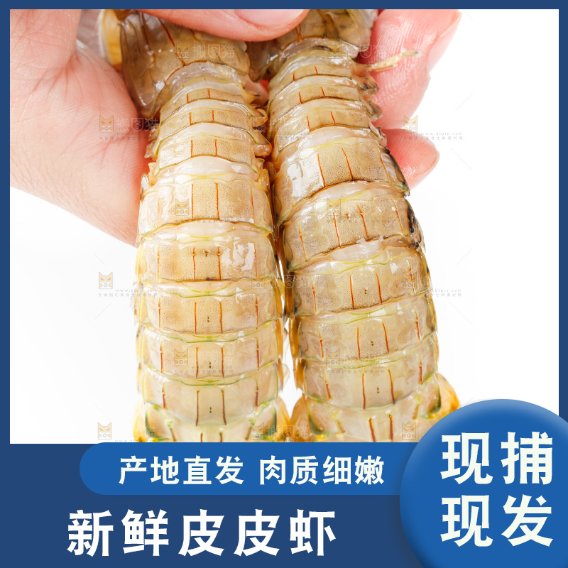 手里拿着生鲜皮皮虾