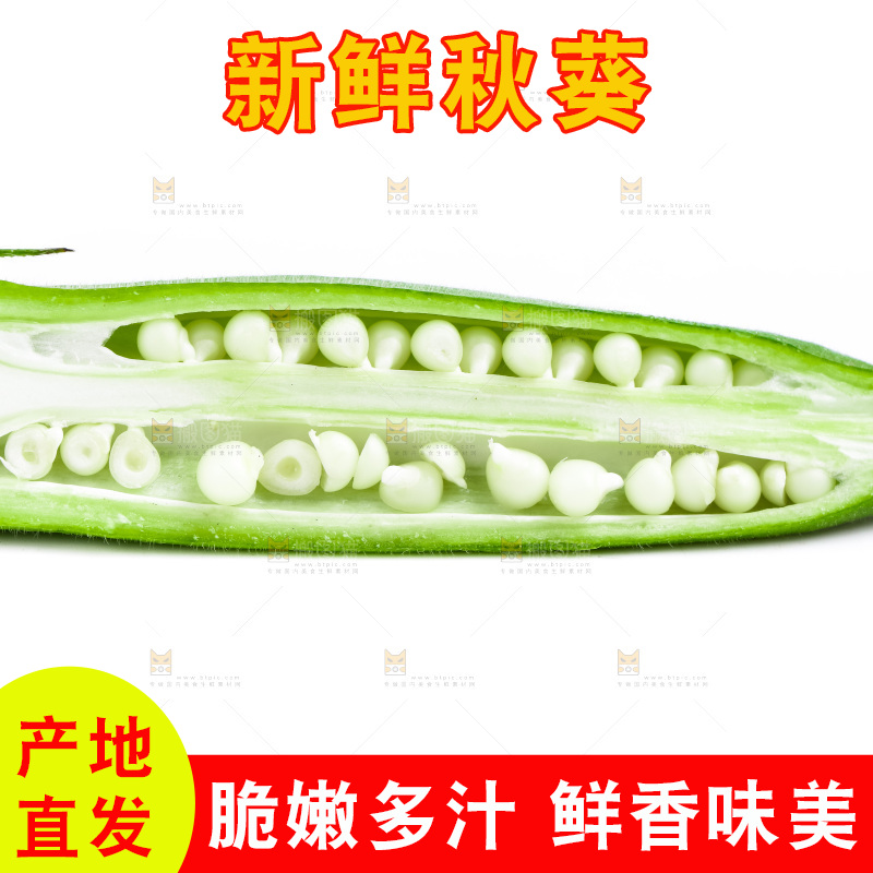 白底上的新鲜秋葵