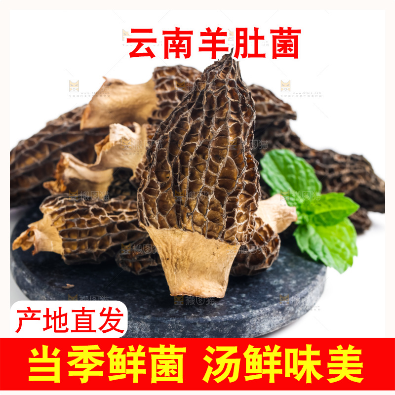 干羊肚菌放在浅底上