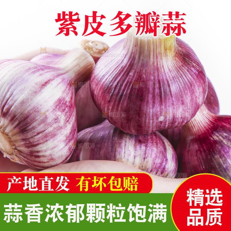 手里拿着紫皮蒜