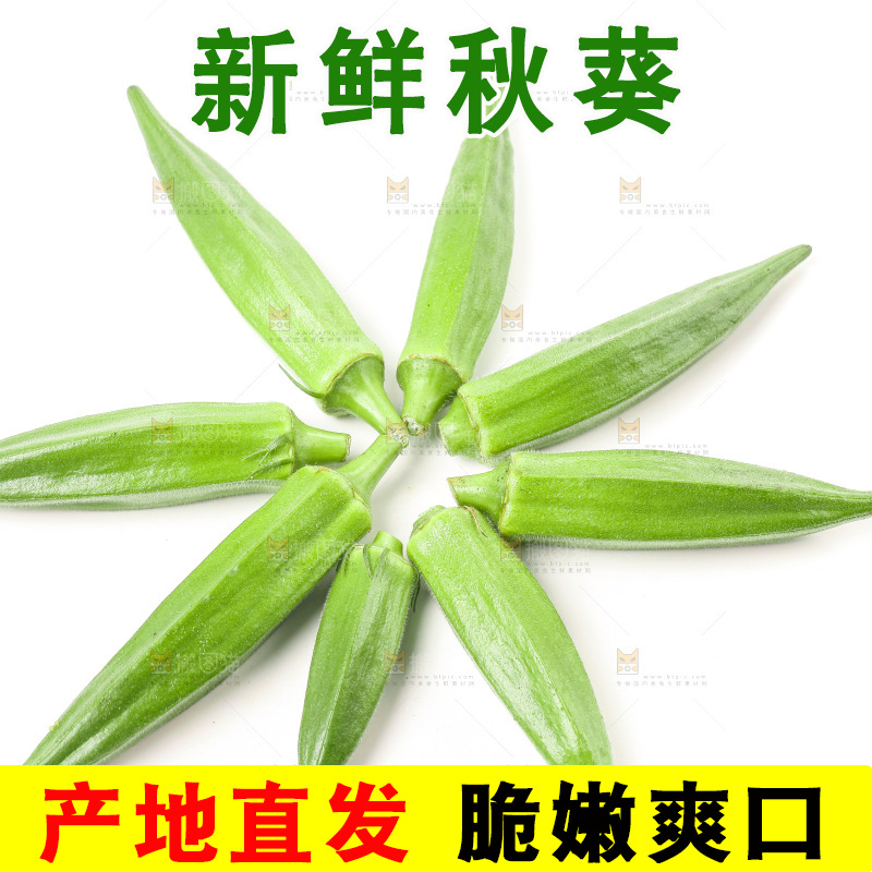 白底上的新鲜秋葵