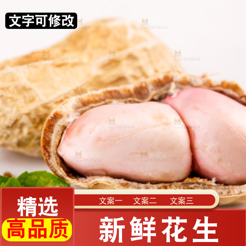 白底上的湿花生
