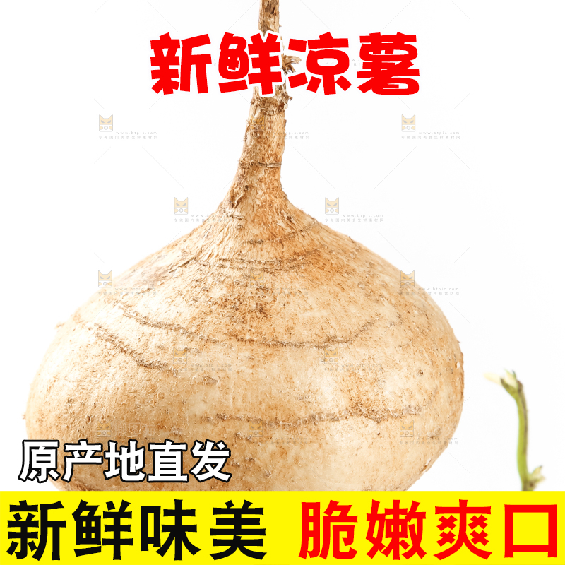 手里拿着凉薯