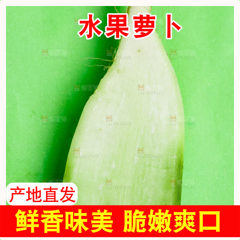 绿底上放着绿萝卜