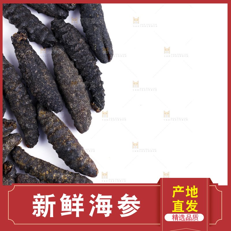 白底上摆放着刺参