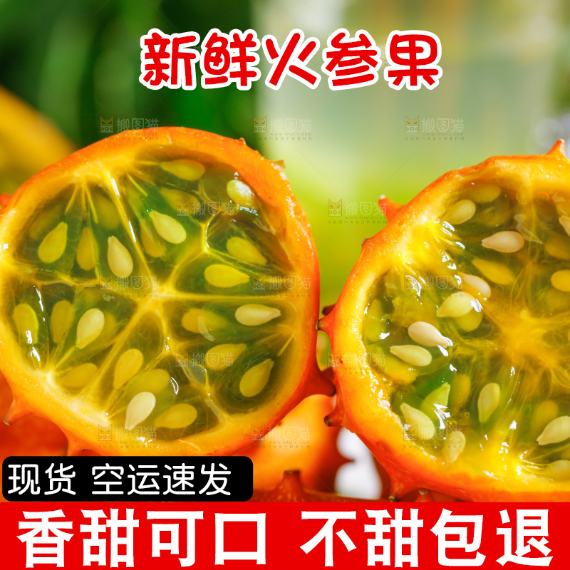 摆放着一堆的刺角瓜