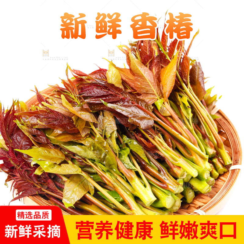 篮子里放着香椿