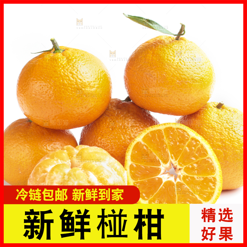 白底上的椪柑橘