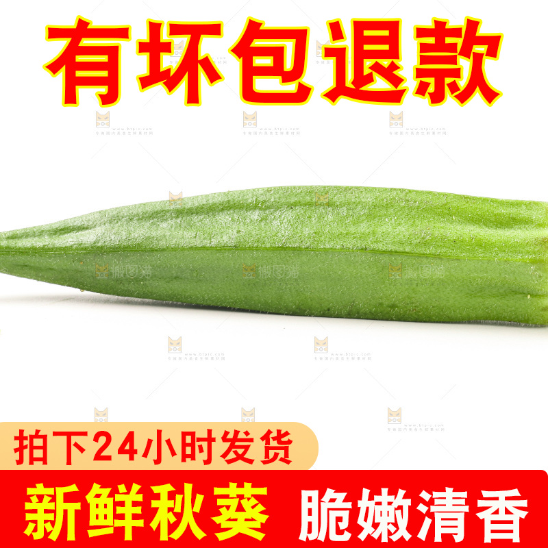 新鲜的羊角豆放在白底上