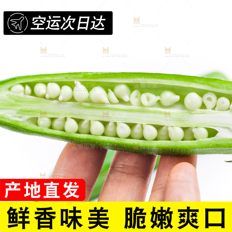 白底上的新鲜秋葵