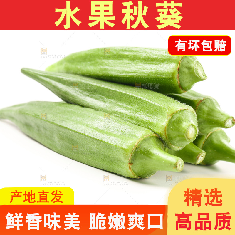 新鲜的羊角豆放在白底上