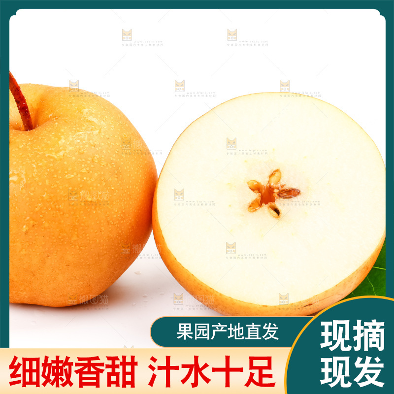 白底上摆放着山东丰水梨