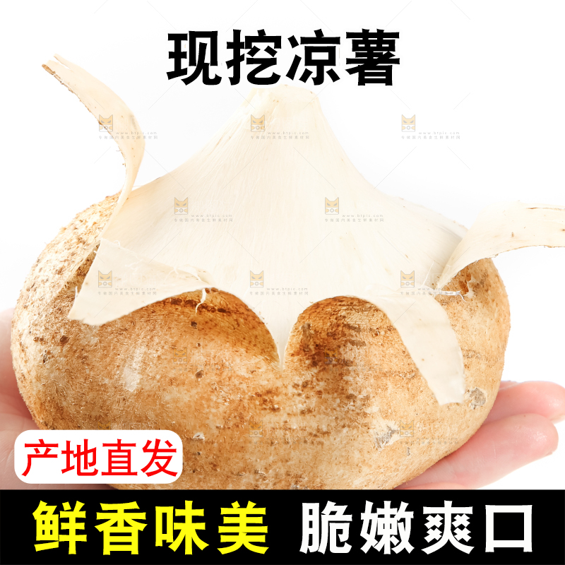 手里拿着凉薯