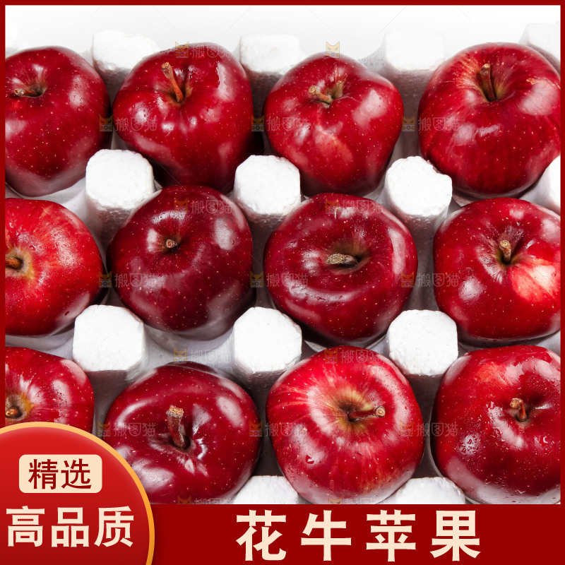 箱子里装着甘肃花牛苹果