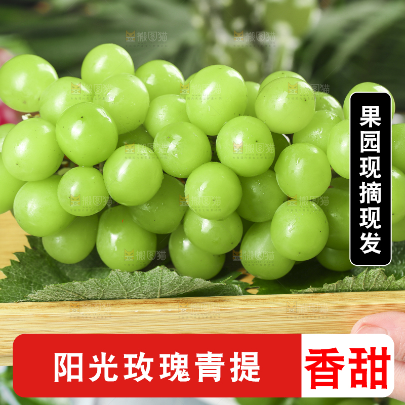 盘子里装着无籽青提