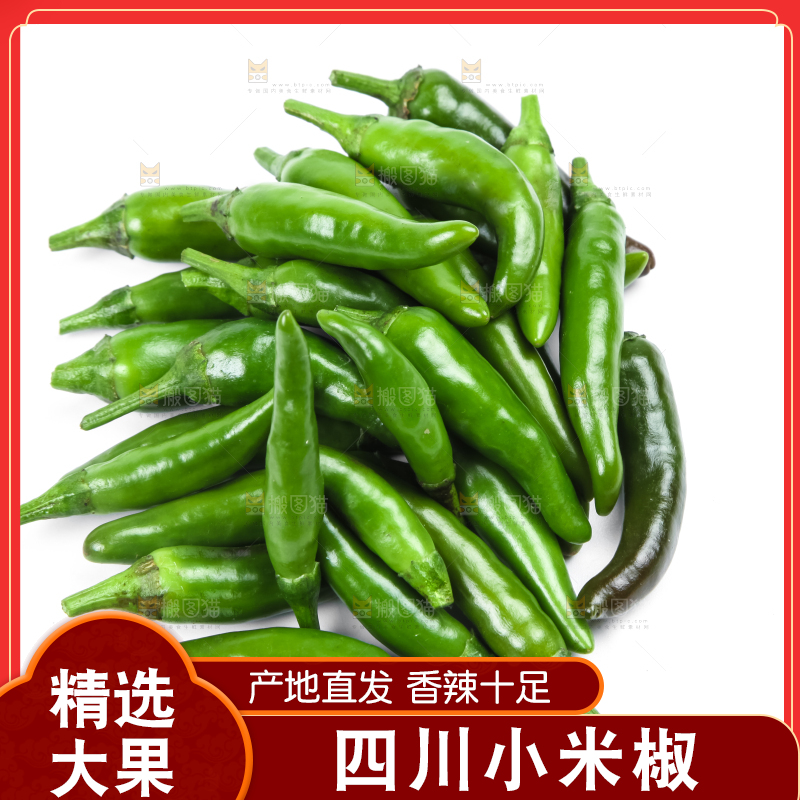 白底上摆放着广西小米椒