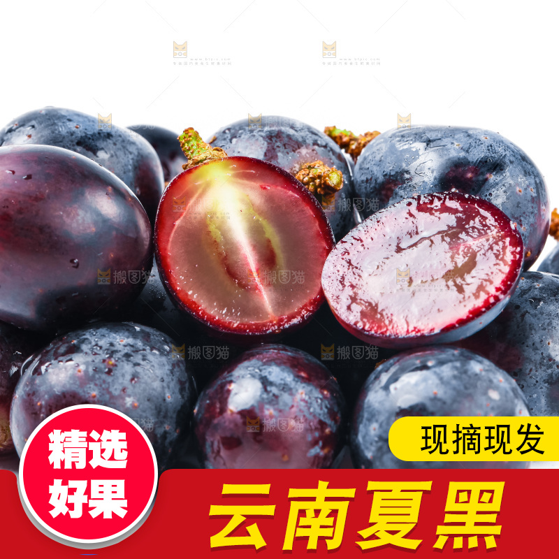 云南夏黑葡萄放在白底上