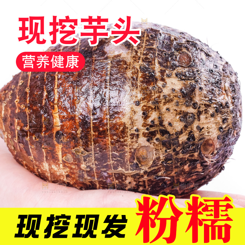 手里拿着大芋头