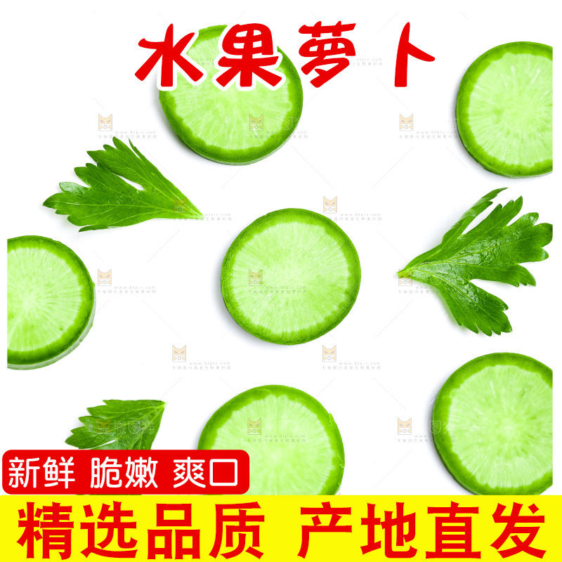 白底上放着青萝卜