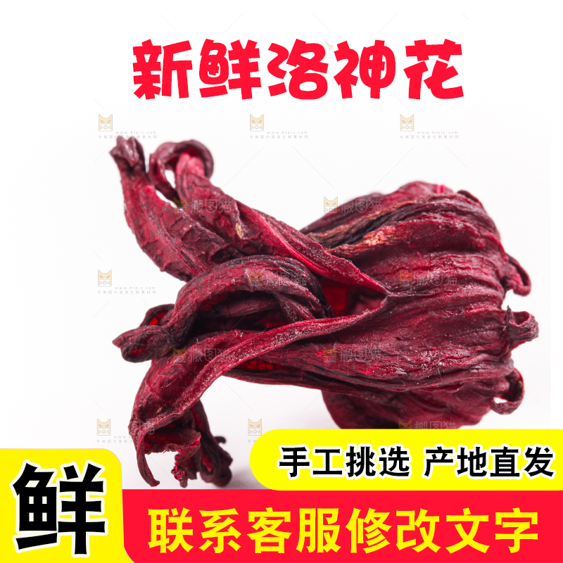 白底上的玫瑰茄