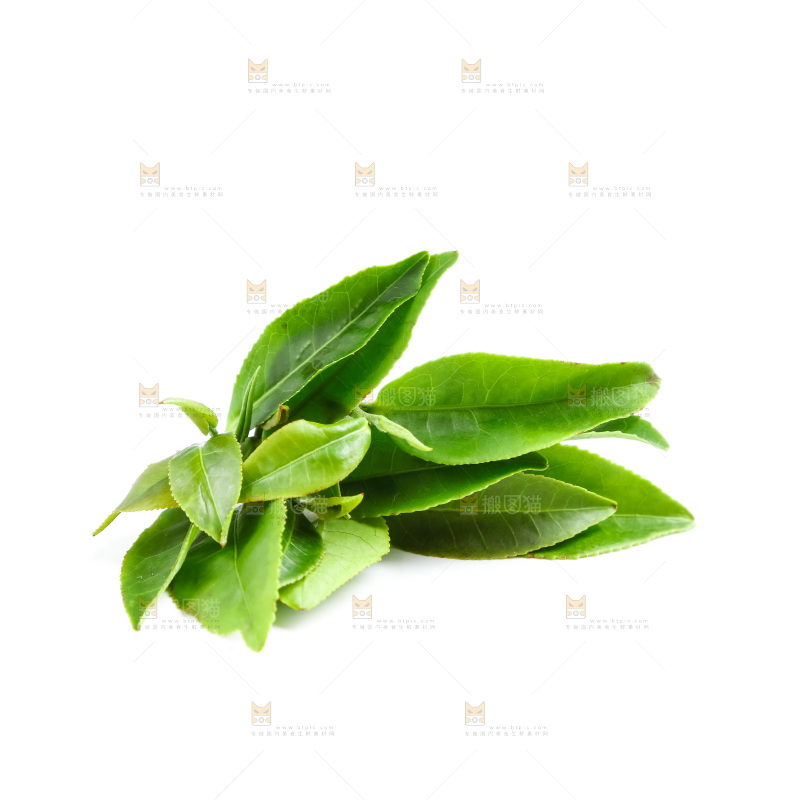 白底上的茶叶