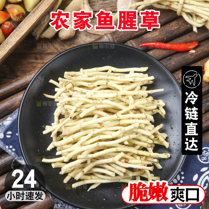 竹底上的鱼腥草