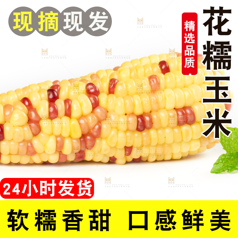 白底上放着花糯玉米