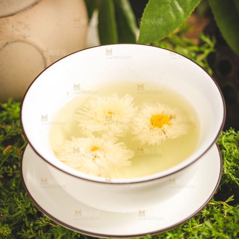 一杯杭白菊菊花茶