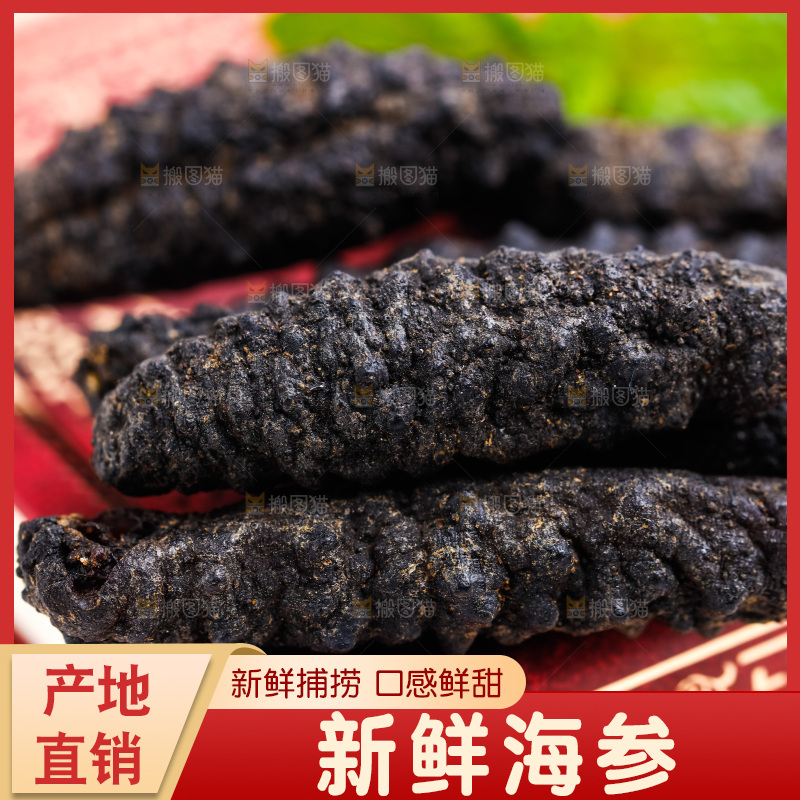 书本上摆放着天然海参