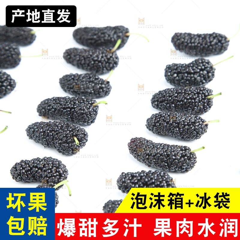 白底上摆列整齐的桑葚