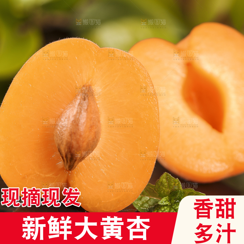 深底上摆放着凯特杏