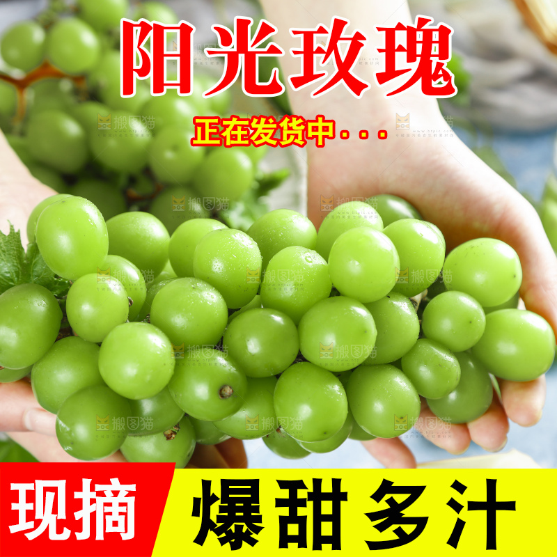 手里拿着香印青提