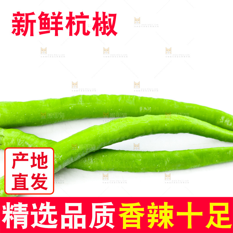 白底上放着青杭椒