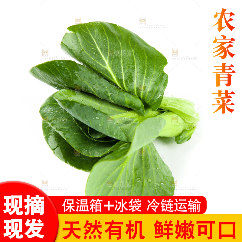 白底上放着青菜