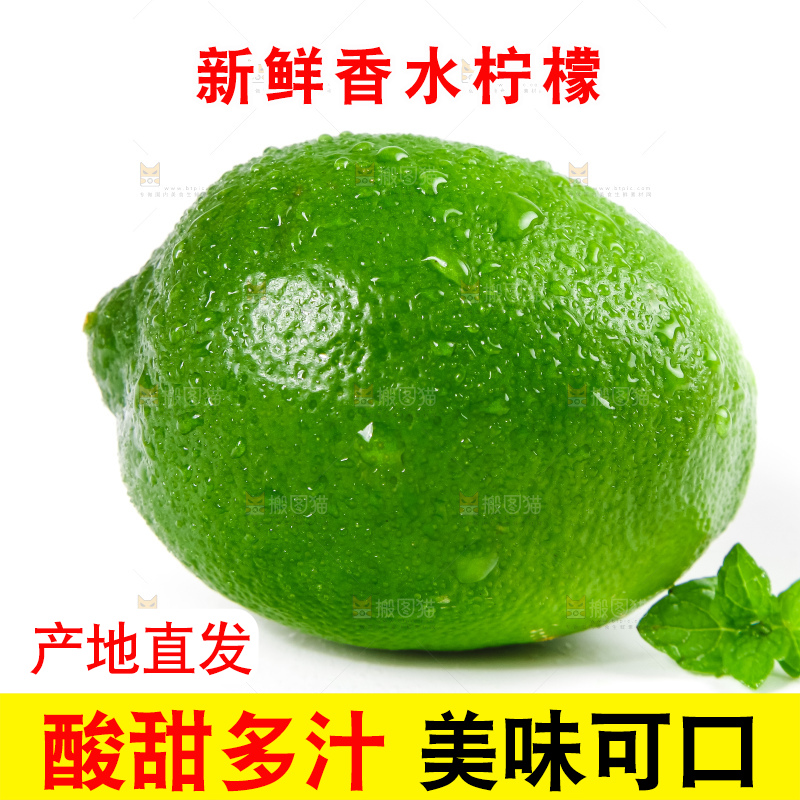 白底上放着无籽青柠檬