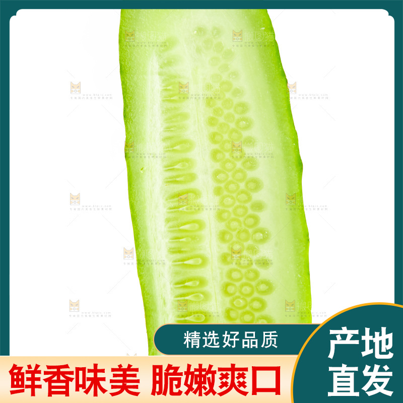 白底上的旱黄瓜