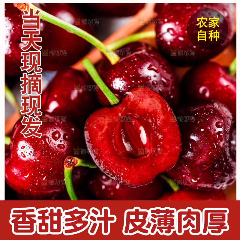木盘里装着大连黑珍珠樱桃