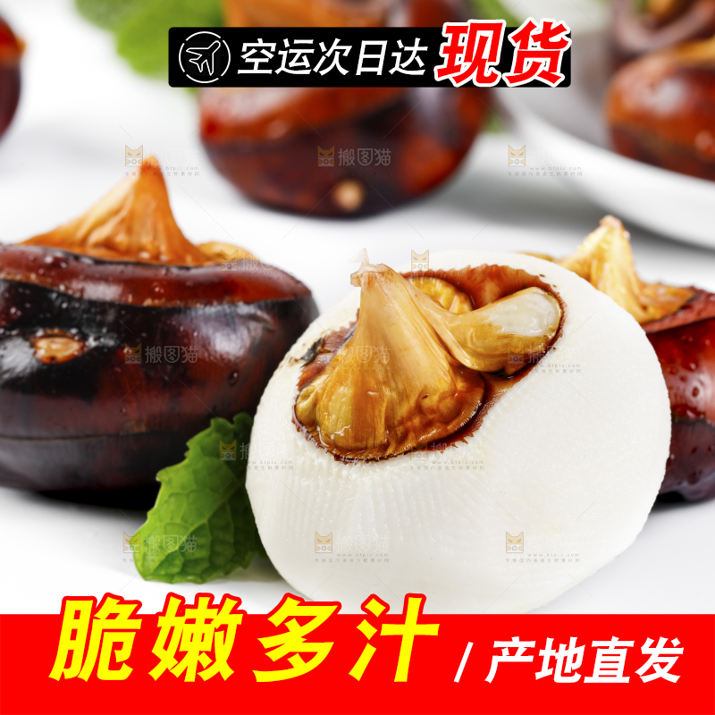 白底上放着广西马蹄