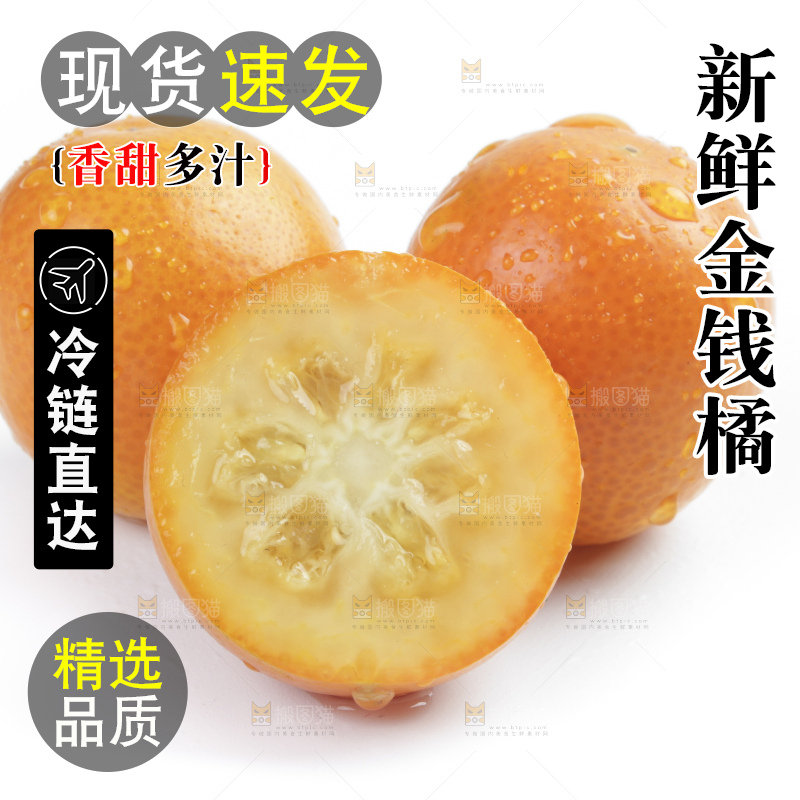 白底上的金钱橘