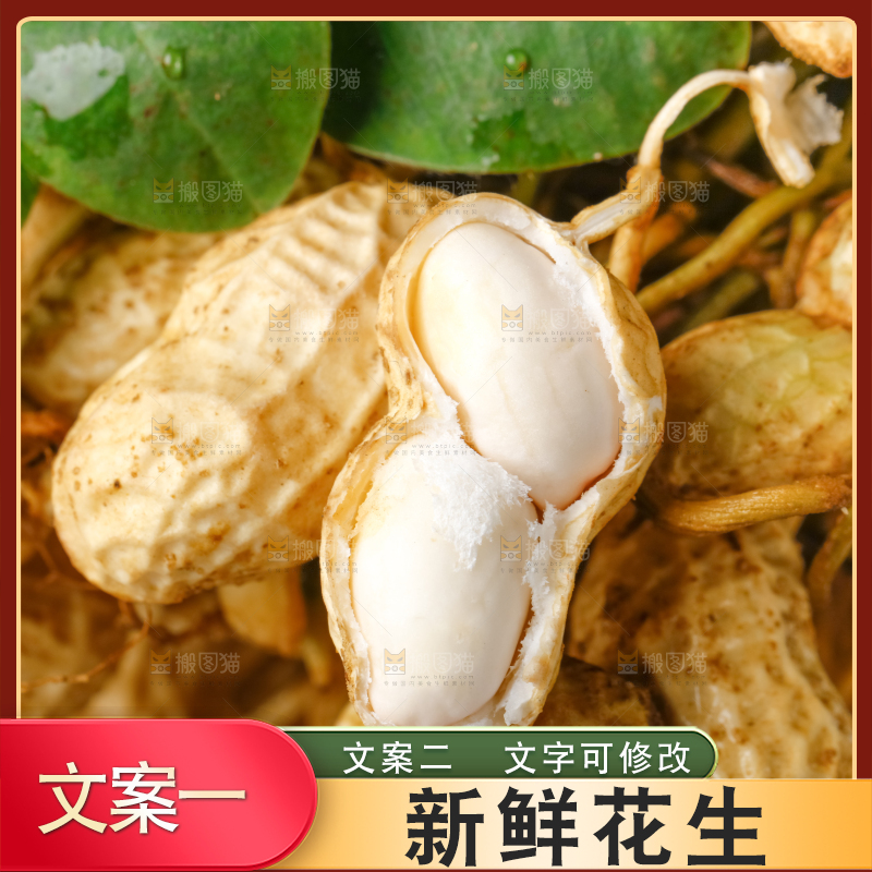 白底上放着一堆新鲜带壳花生